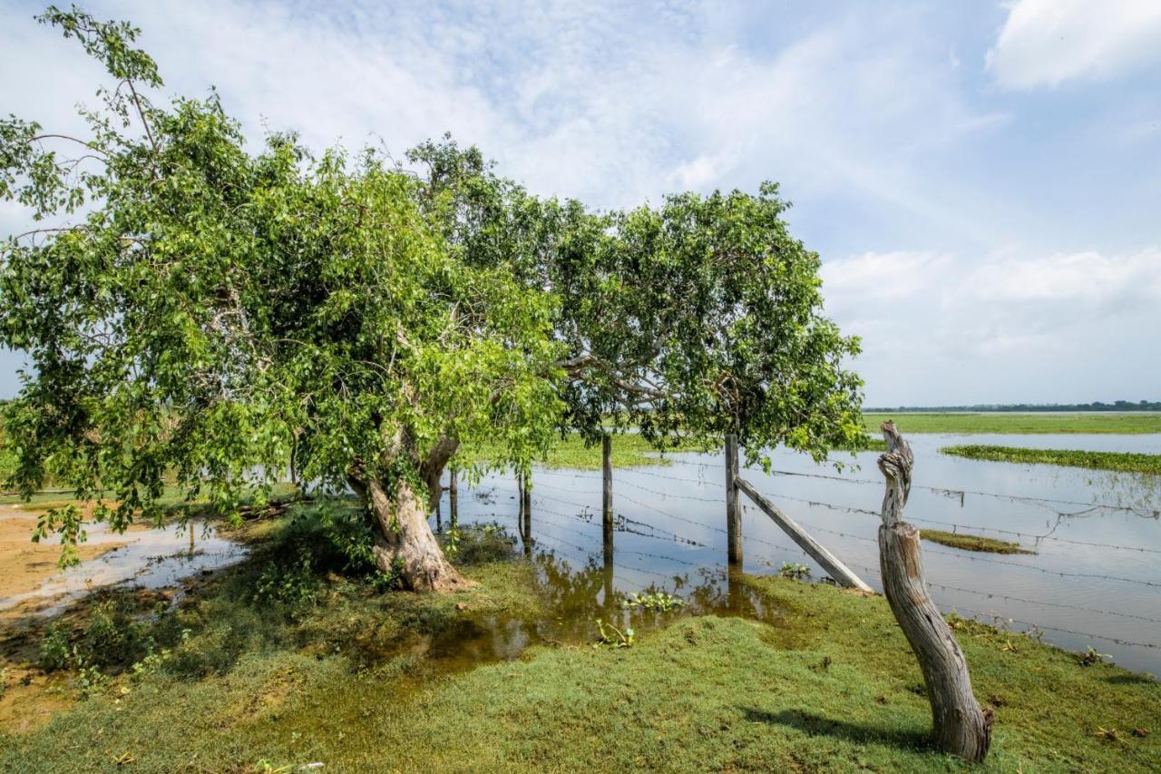 Chaarya Lake 호텔 티사마하라마 외부 사진